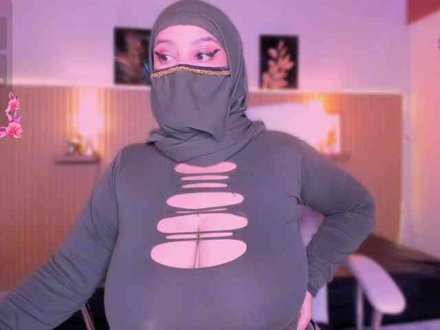 hana-falak webcam