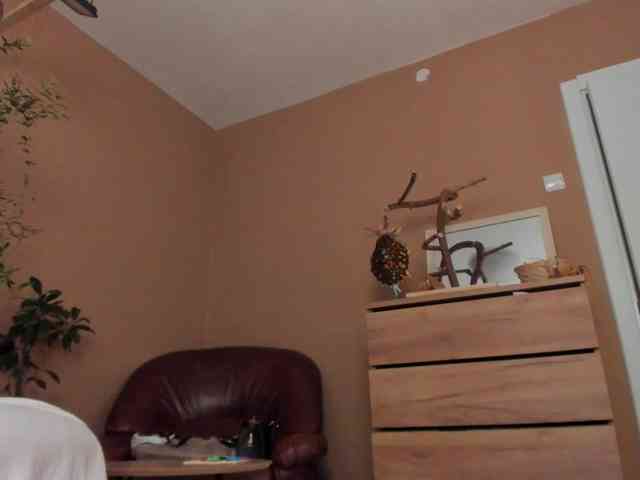 kaylalaine1 webcam