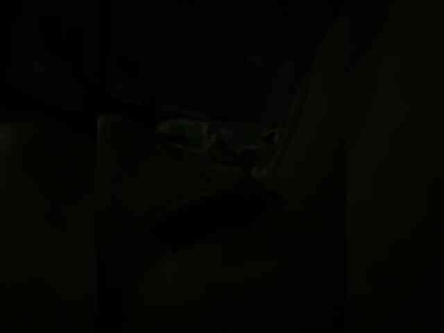 Dfgxa Sex Cam Show
