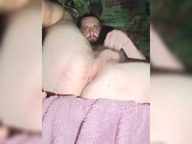 Dimasikad