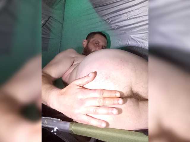 Dimasikad