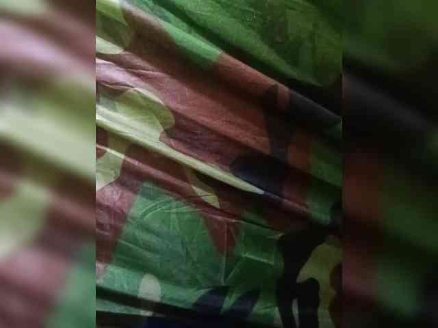 Dimasikad