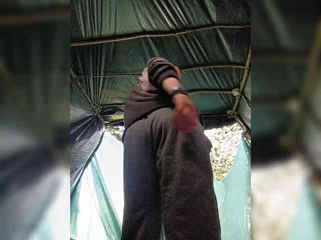 Dimasikad Live Webcam on BongaCams