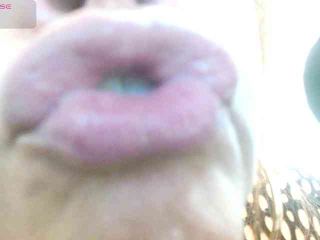 KaillyPariss webcam