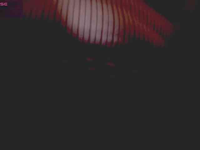 KaillyPariss webcam