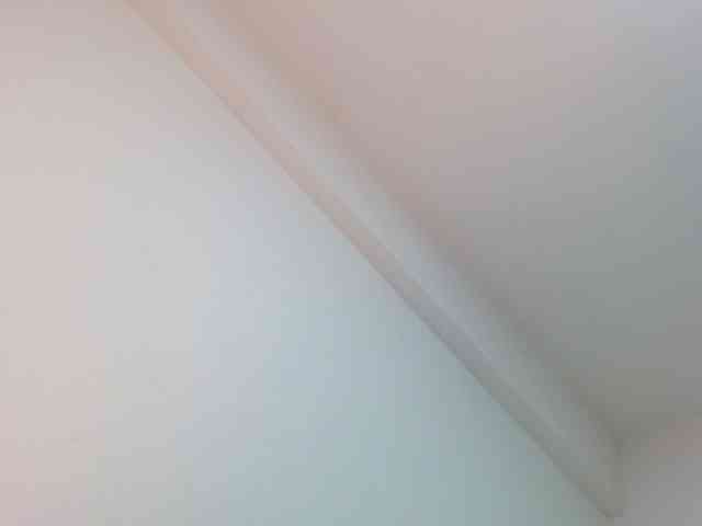 KaillyPariss webcam