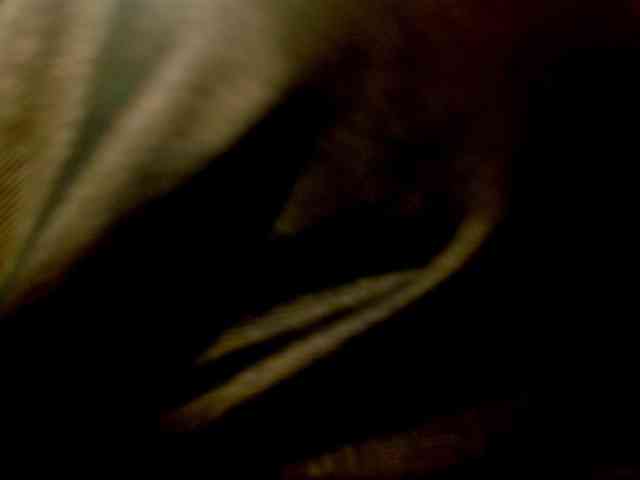 KaillyPariss webcam