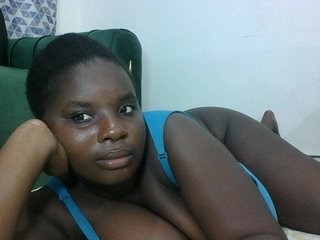 Hotybobbies