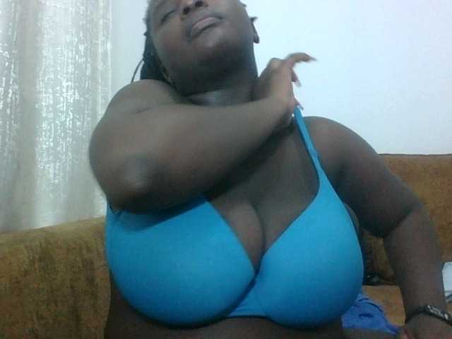 Hotybobbies