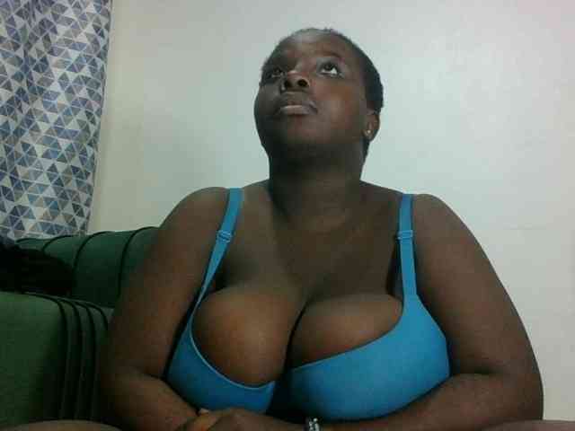 Hotybobbies