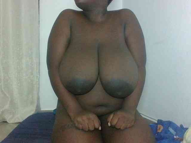 Hotybobbies