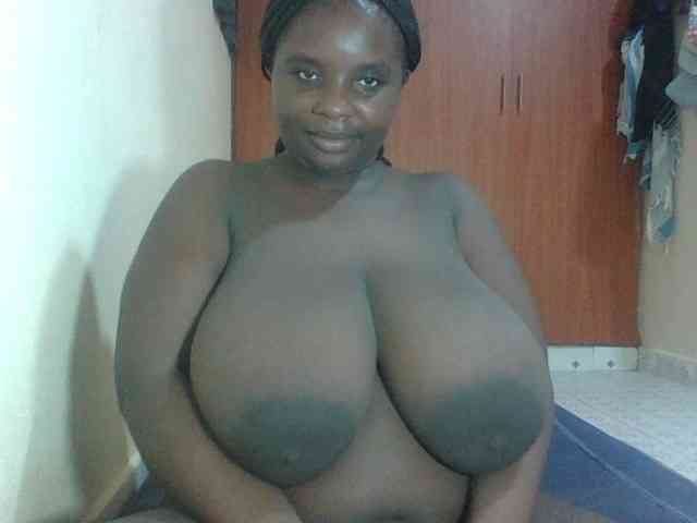 Model: Hotybobbies