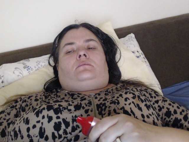KittyDrive111