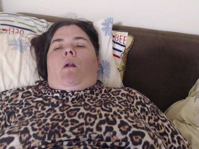 KittyDrive111