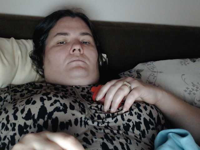 KittyDrive111