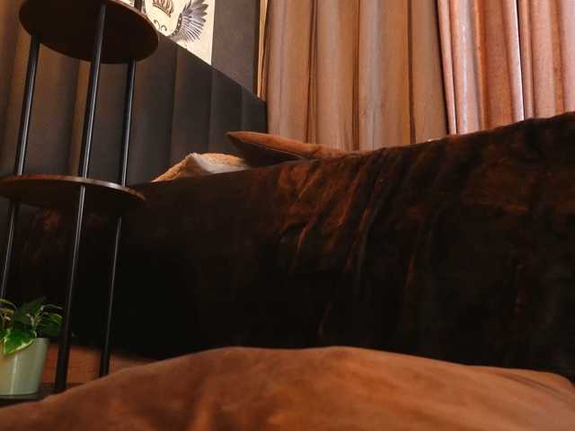 Alexa-Duque live cam on BongaCams