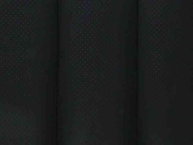 Alexa_Duque webcam