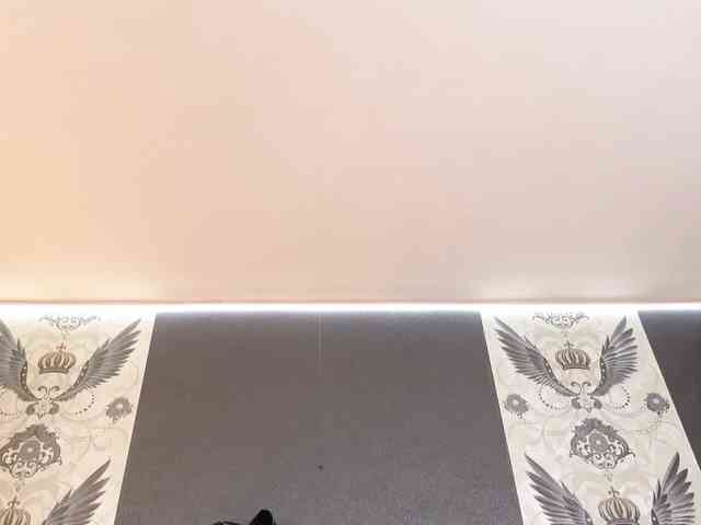 Alexa_Duque webcam