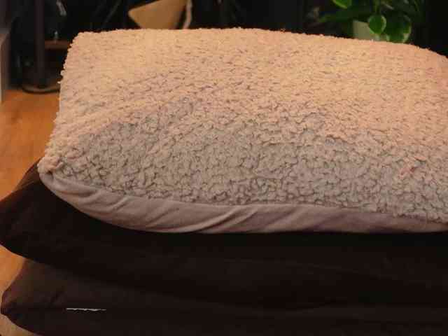 Alexa_Duque webcam