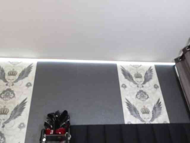 Alexa_Duque webcam