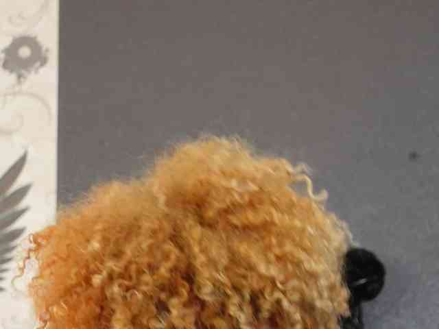 Alexa_Duque webcam