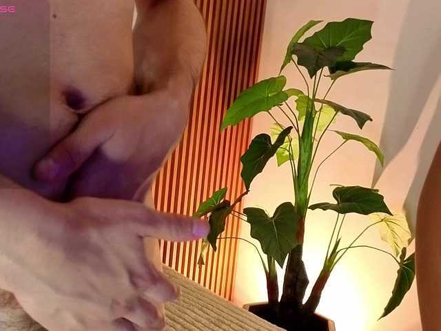 charlotte-69
