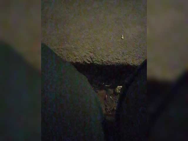 StacyMilk's BongaCams show and profile