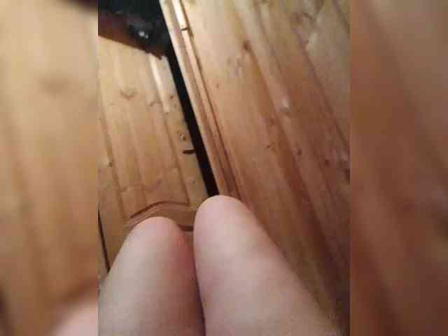 EVIL_TITS webcam