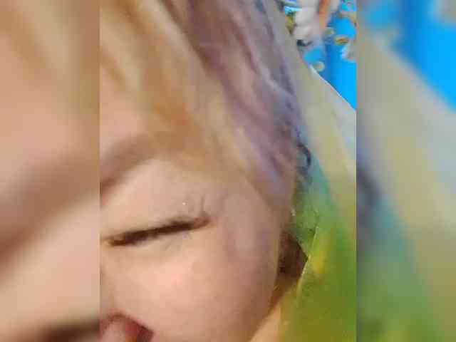 EVIL_TITS webcam