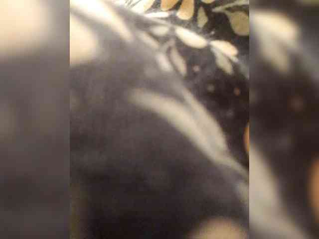 EVIl_TITS webcam