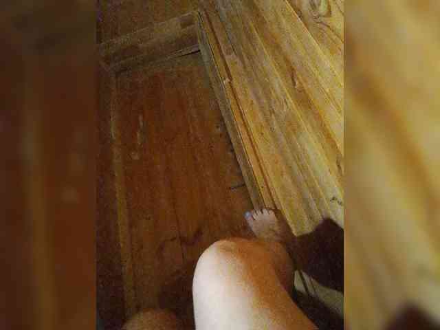 EVIl_TITS webcam