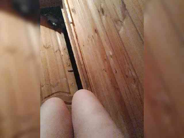 EVIL_TITS webcam