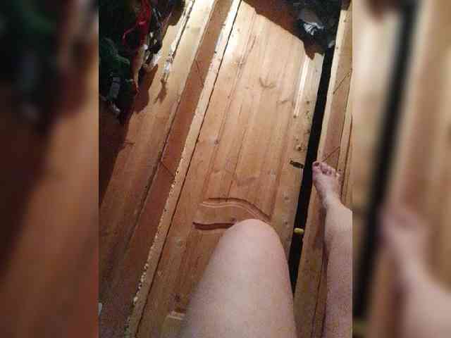 EVIL_TITS webcam