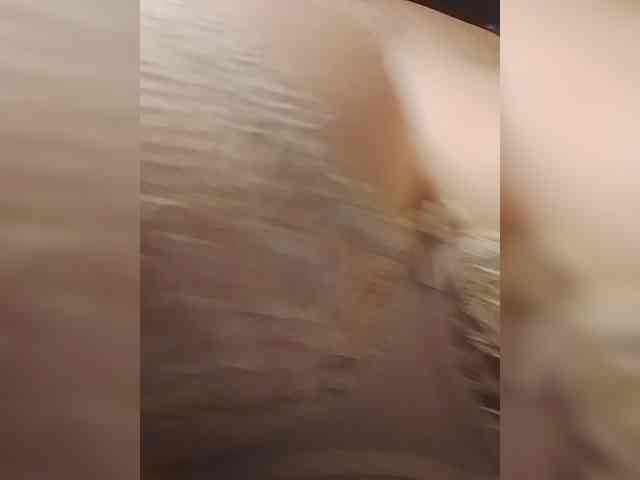 EVIl_TITS webcam