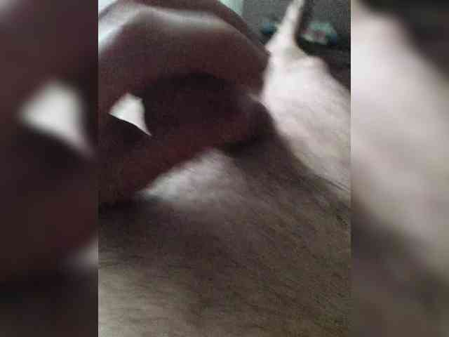 Andreo73 Sex Cam Show