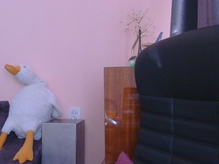Ornotores_wers