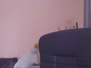 Ornotores_wers Porn Show