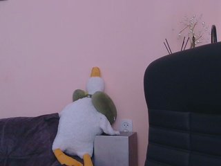 Ornotores_wers