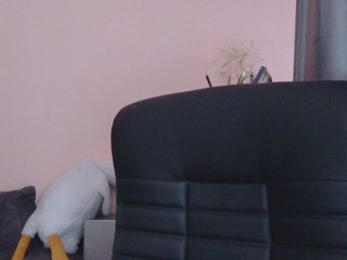 Ornotores_wers