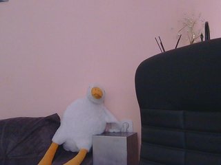 Ornotores_wers