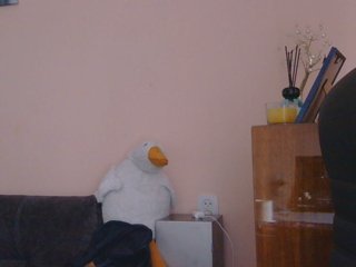 Ornotores_wers Porn Show