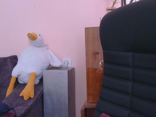 Ornotores_wers