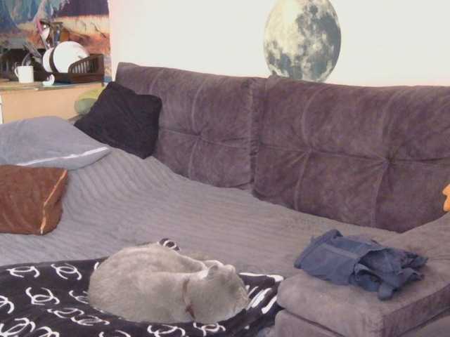 Medjik-lool live cam on BongaCams