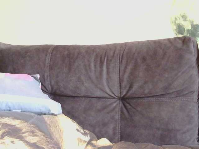 Medjik-lool live cam on BongaCams