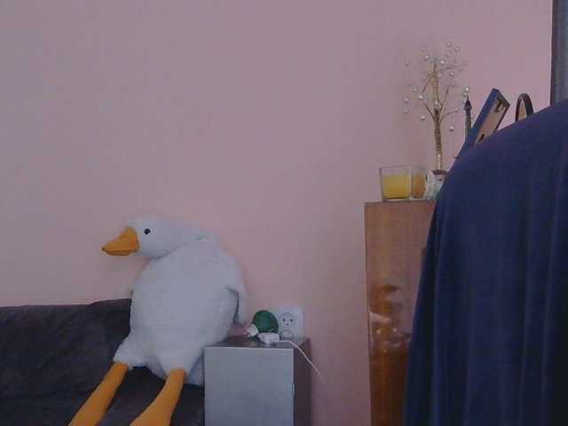 Ornotores_wers