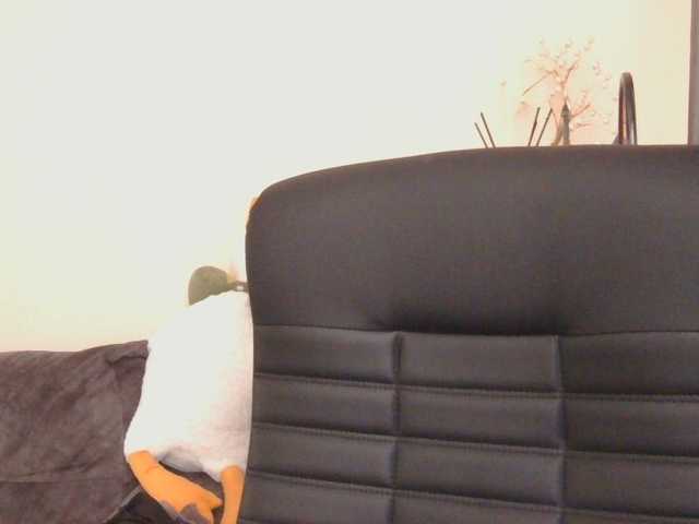 Medjik-lool live cam on BongaCams