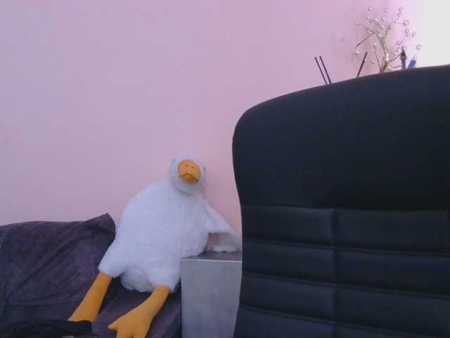 Medjik-lool live cam on BongaCams