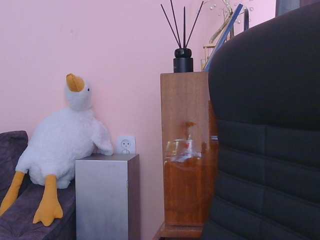 Ornotores_wers