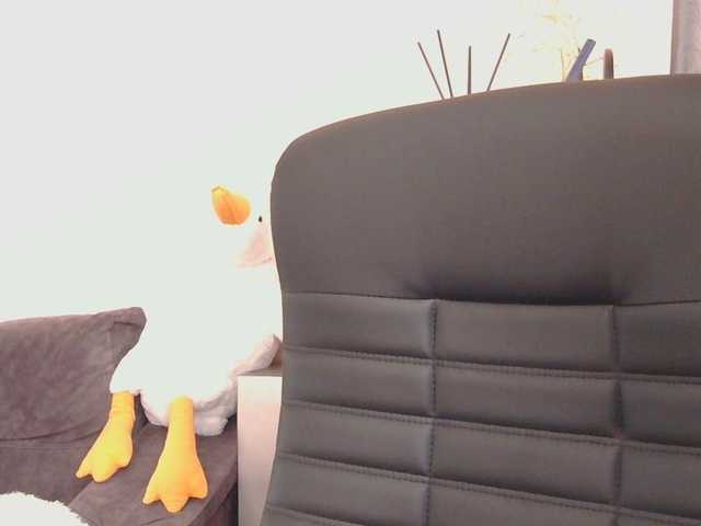 Ornotores_wers