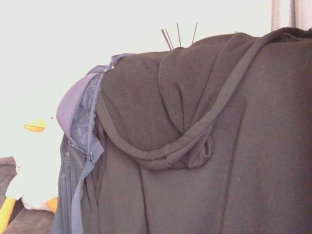 Ornotores_wers